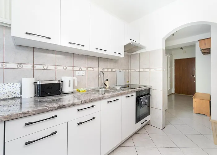 Dzielna Comfort By Bookinghost